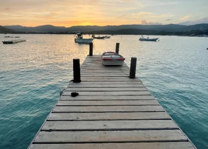 Charming Duplex In Vecchio * ポルトヴェッキオ